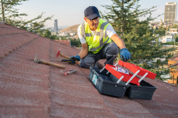 Best Property Management Cleanouts  in West Lawn, PA